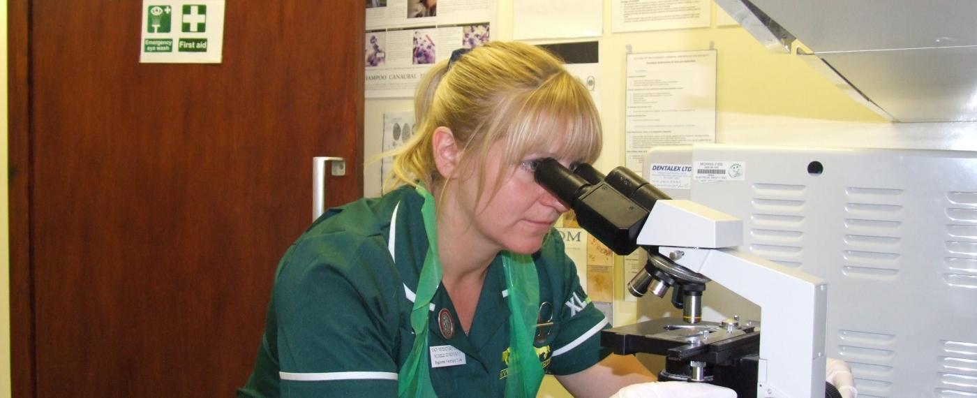 Laboratory Cain Veterinary Centre